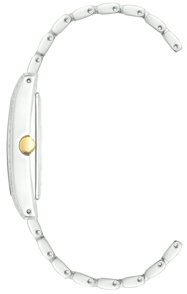Anne Klein Anne Klein Box Set 3991TTST,  сша женские часы на браслете нержавеющая сталь с pvd-покрытием боковой вид