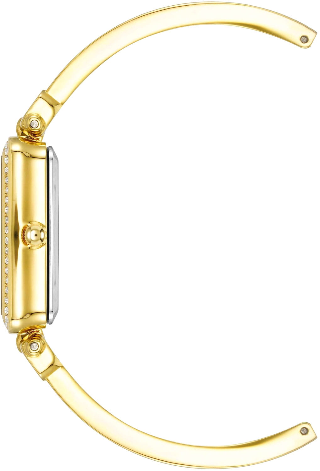 Anne Klein Anne Klein  Box Set 3898TNST,  сша женские часы на браслете нержавеющая сталь с pvd-покрытием боковой вид