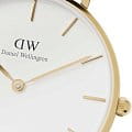 Часы Daniel Wellington Petite Evergold DW00100348 фото 2