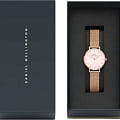 Часы Daniel Wellington Petite Melrose Pearl DW00100513 фото 4