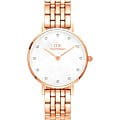 Часы Daniel Wellington Petite DW00100613