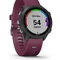 Часы Garmin Forerunner 245 010-02120-11 фото 6