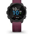 Часы Garmin Forerunner 245 010-02120-11 фото 10